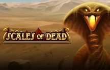 Scales Of Deads